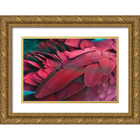 Feather Gold Ornate Wood Framed Art Print with Double Matting by PhotoINC Studio