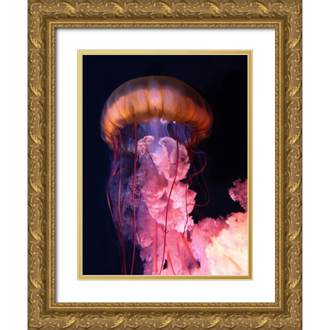 Gelly Gold Ornate Wood Framed Art Print with Double Matting by PhotoINC Studio