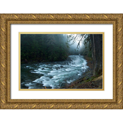 River Gold Ornate Wood Framed Art Print with Double Matting by PhotoINC Studio