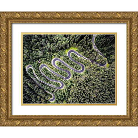 Road Gold Ornate Wood Framed Art Print with Double Matting by PhotoINC Studio