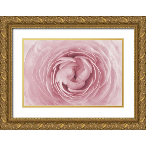 Rose Gold Ornate Wood Framed Art Print with Double Matting by PhotoINC Studio