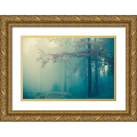 Woods Gold Ornate Wood Framed Art Print with Double Matting by PhotoINC Studio