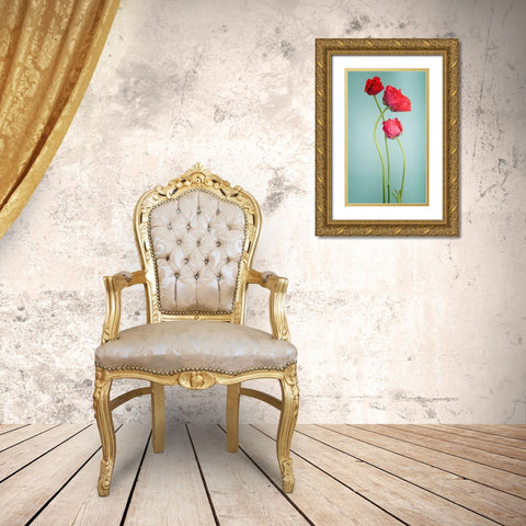Blue poppy Gold Ornate Wood Framed Art Print with Double Matting by PhotoINC Studio