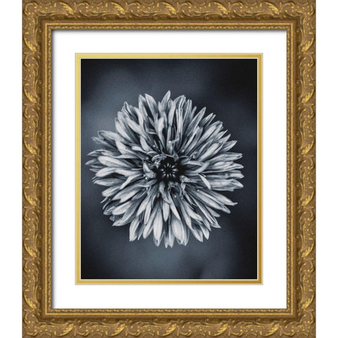 Autumn I Gold Ornate Wood Framed Art Print with Double Matting by Incado