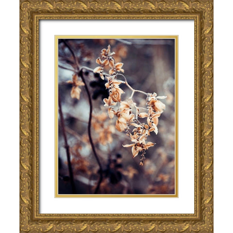 Autumn II Gold Ornate Wood Framed Art Print with Double Matting by Incado
