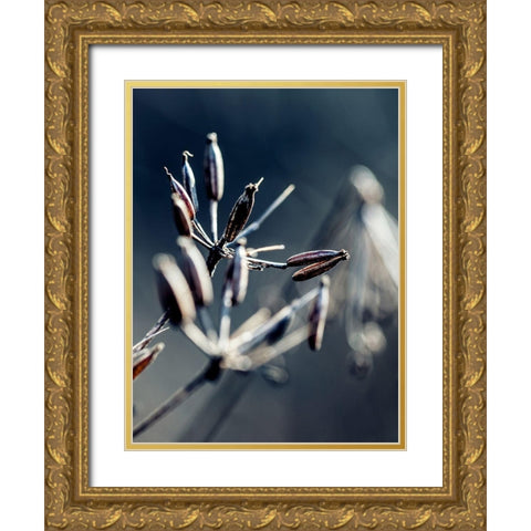 Autumn IV Gold Ornate Wood Framed Art Print with Double Matting by Incado