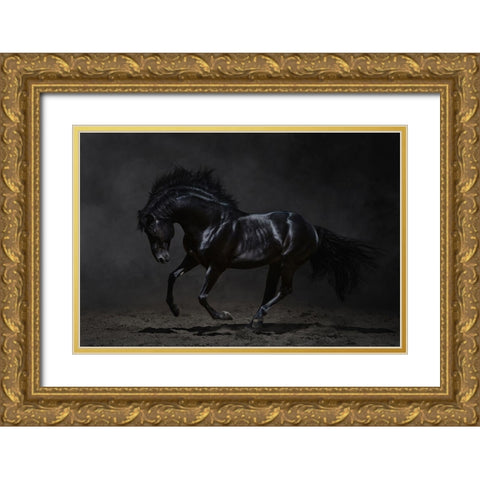 Onyx Gold Ornate Wood Framed Art Print with Double Matting by PhotoINC Studio