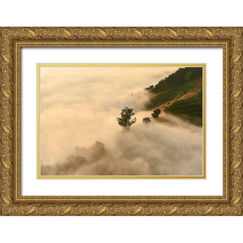 Clouds Gold Ornate Wood Framed Art Print with Double Matting by PhotoINC Studio