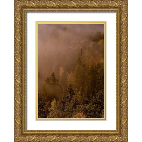 Autumn Forest Gold Ornate Wood Framed Art Print with Double Matting by PhotoINC Studio