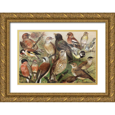 Collection I Gold Ornate Wood Framed Art Print with Double Matting by PhotoINC Studio