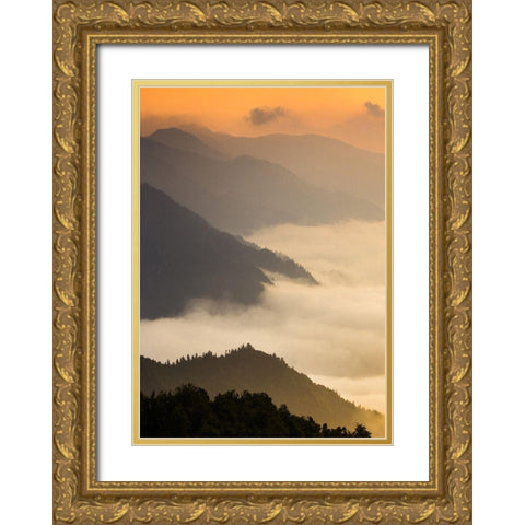 Dusty morning Gold Ornate Wood Framed Art Print with Double Matting by PhotoINC Studio