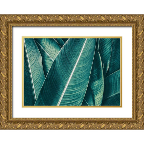 Banana Gold Ornate Wood Framed Art Print with Double Matting by PhotoINC Studio