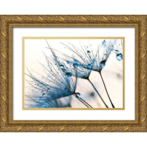 Mystic Blue Gold Ornate Wood Framed Art Print with Double Matting by PhotoINC Studio