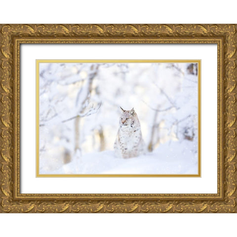 Snow lynx Gold Ornate Wood Framed Art Print with Double Matting by PhotoINC Studio
