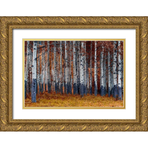 Autumn Forest Gold Ornate Wood Framed Art Print with Double Matting by Kostka, Vladimir