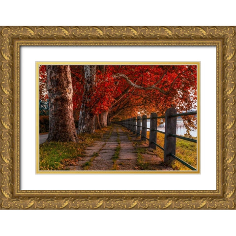 Walk by the River Gold Ornate Wood Framed Art Print with Double Matting by Kostka, Vladimir