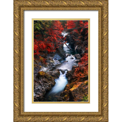 Water in the Fall Gold Ornate Wood Framed Art Print with Double Matting by Kostka, Vladimir