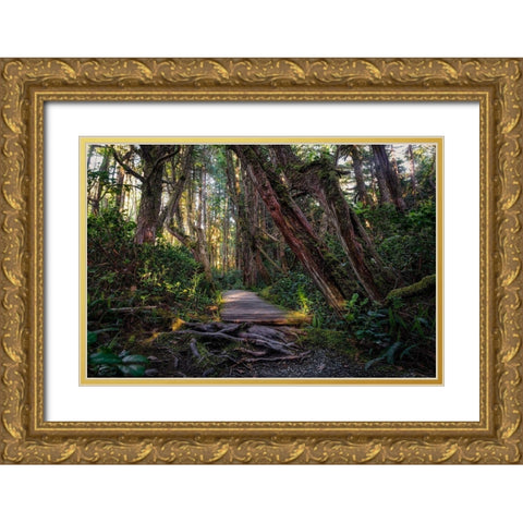 The Path Gold Ornate Wood Framed Art Print with Double Matting by Kostka, Vladimir