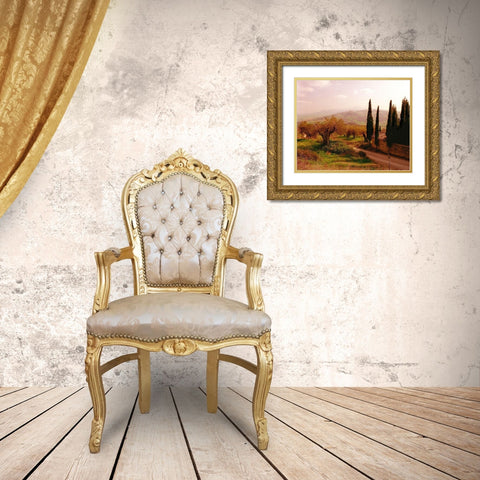 Toscana, Italia No. 709 Gold Ornate Wood Framed Art Print with Double Matting by Klug, Alan