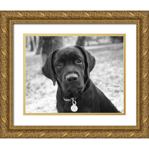 Zoey Gold Ornate Wood Framed Art Print with Double Matting by Levin, Kim