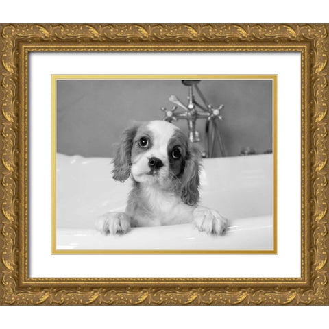 Lulu Gold Ornate Wood Framed Art Print with Double Matting by Levin, Kim