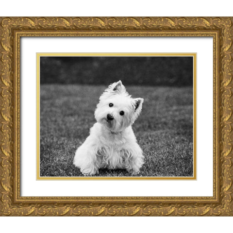 Winnie Gold Ornate Wood Framed Art Print with Double Matting by Levin, Kim