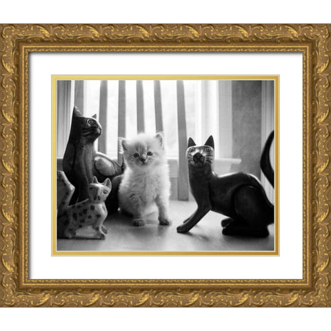 Ragdoll Kitten Gold Ornate Wood Framed Art Print with Double Matting by Levin, Kim