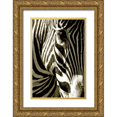 Zebra Head Gold Ornate Wood Framed Art Print with Double Matting by Lawhorn, Courtney