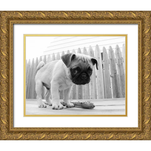 Bentley Gold Ornate Wood Framed Art Print with Double Matting by Levin, Kim