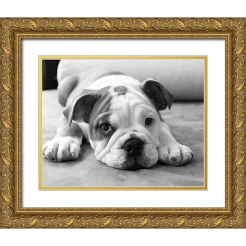 Bodhi Gold Ornate Wood Framed Art Print with Double Matting by Levin, Kim