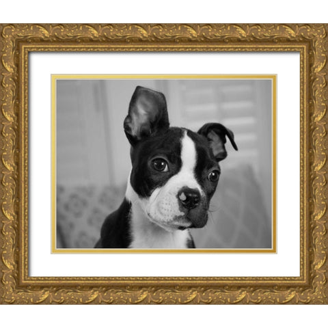 Hugo the Thinker Gold Ornate Wood Framed Art Print with Double Matting by Levin, Kim