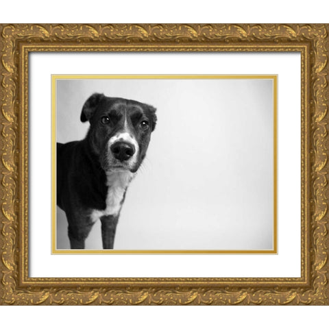 Reilly Gold Ornate Wood Framed Art Print with Double Matting by Levin, Kim