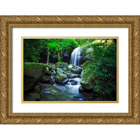 Hows The Serenity Gold Ornate Wood Framed Art Print with Double Matting by Louise, Tracie