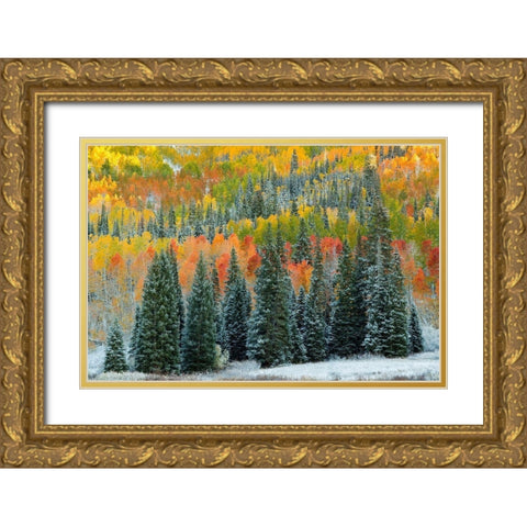Christmas Trees Gold Ornate Wood Framed Art Print with Double Matting by Leacock, J.C.