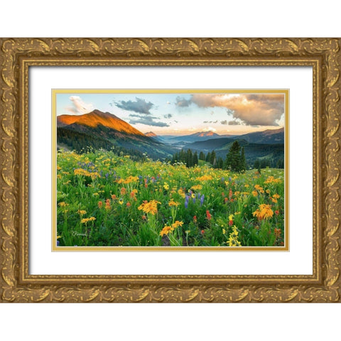 Wash Gulch Wild Gold Ornate Wood Framed Art Print with Double Matting by Leacock, J.C.