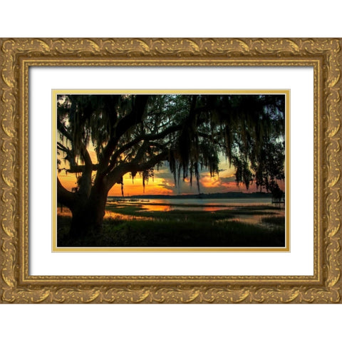 Savannah Evening Gold Ornate Wood Framed Art Print with Double Matting by Mikaels, Natalie