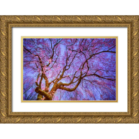 Weeping Cherry Gold Ornate Wood Framed Art Print with Double Matting by Mikaels, Natalie