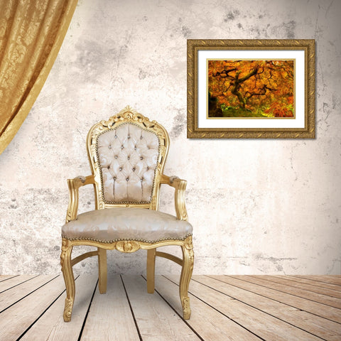 Wild Fire Gold Ornate Wood Framed Art Print with Double Matting by Mikaels, Natalie