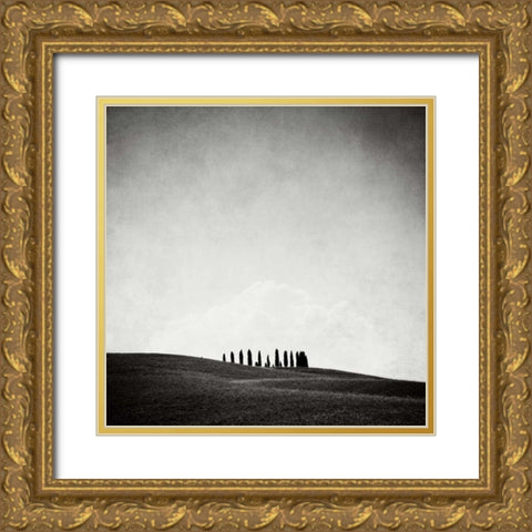 Hidden Forest Gold Ornate Wood Framed Art Print with Double Matting by Morrissey, Margaret