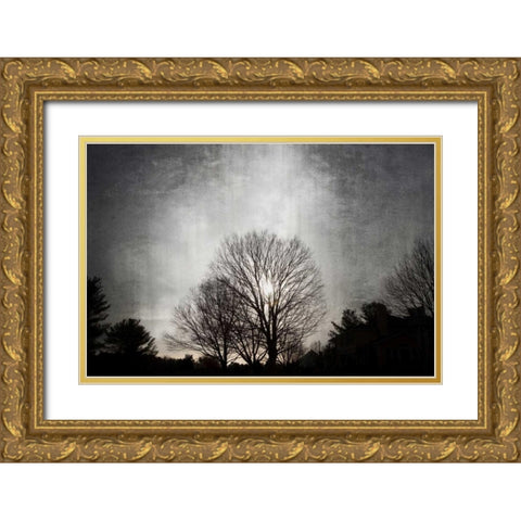 Great Falls Sunset Gold Ornate Wood Framed Art Print with Double Matting by Miamee, Golie