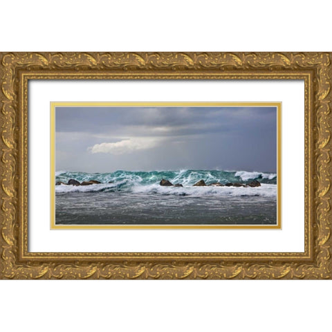 Storm in Dorado Gold Ornate Wood Framed Art Print with Double Matting by Miamee, Golie