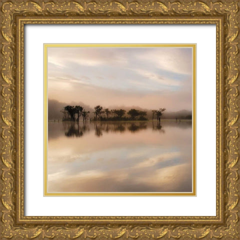 Dawn Mist on the Amazon Gold Ornate Wood Framed Art Print with Double Matting by Mumford, Andy