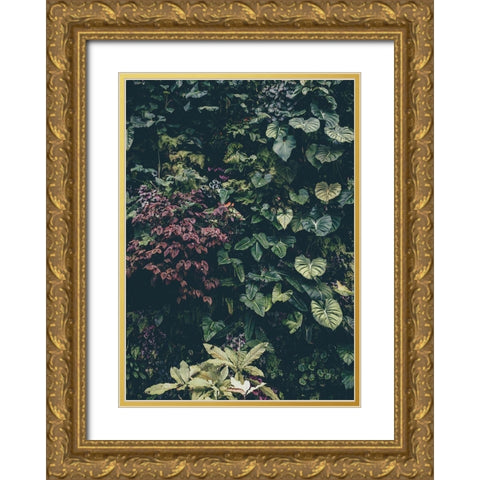 Plant Wall Gold Ornate Wood Framed Art Print with Double Matting by Design Fabrikken