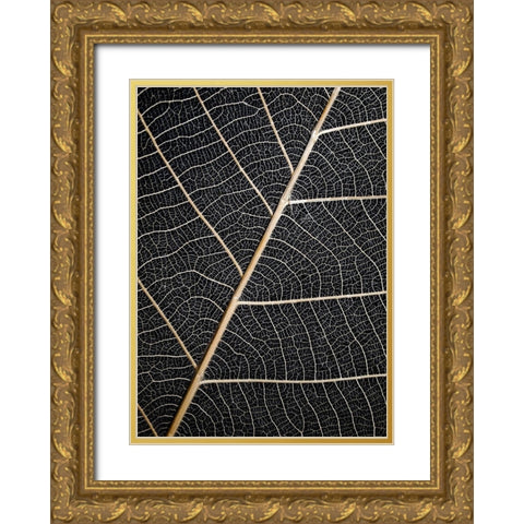 Leaf Veins Gold Ornate Wood Framed Art Print with Double Matting by Design Fabrikken