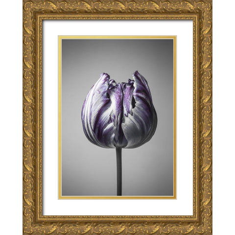 Baroque 5 Gold Ornate Wood Framed Art Print with Double Matting by Design Fabrikken