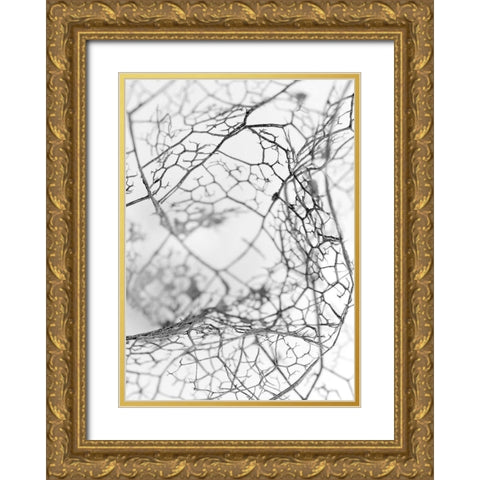 Leaf Skeleton BW Gold Ornate Wood Framed Art Print with Double Matting by Design Fabrikken