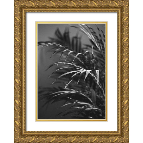 Black Plant Gold Ornate Wood Framed Art Print with Double Matting by Design Fabrikken