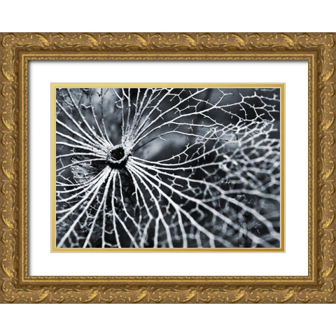 Winterspell Gold Ornate Wood Framed Art Print with Double Matting by Design Fabrikken