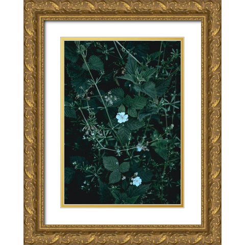 Greenery Gold Ornate Wood Framed Art Print with Double Matting by Design Fabrikken