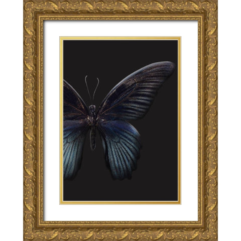 Black Butterfly on Grey Gold Ornate Wood Framed Art Print with Double Matting by Design Fabrikken